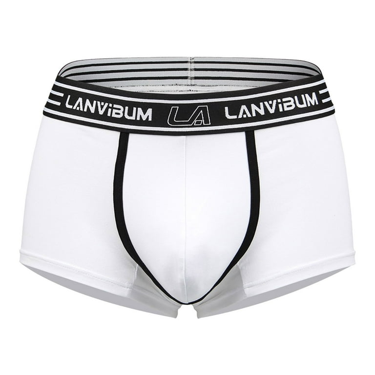 Gubotare Mens Underwear Briefs Men's Enhancing Underwear Briefs Ice Silk  Big Ball Pouch Briefs for Male Pack,White L