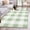 Sage Green, variant on Entryway Rug 2x3 Ft, Letter P Non Slip Small Area Rugs for Front Door, Monogram Words Washable Low Pile Accent Carpet Doormat for Indoor Entrance Kitchen Bathroom Doorway