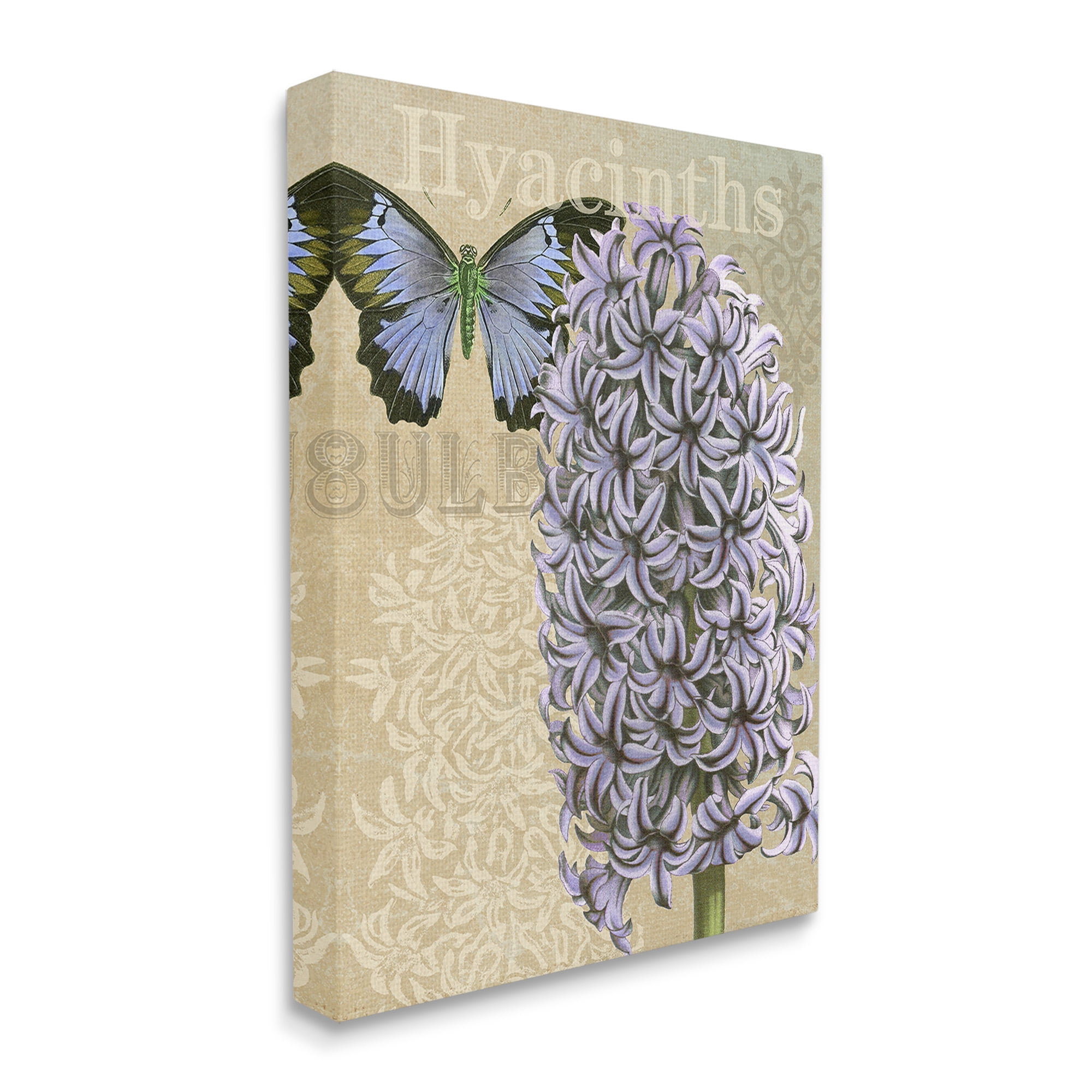 Stupell Industries Hyacinth Pattern & Butterfly Botanical & Floral Painting Gallery Wrapped Canvas Art Print Wall Art, 36 x 48