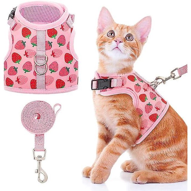 (2 Pices Rose Fraise) Harnais Pour Chat Avec Laisse - Harnais En Maille Rglable Lgant Pour Chatons, Chiots Et Petits Animaux
