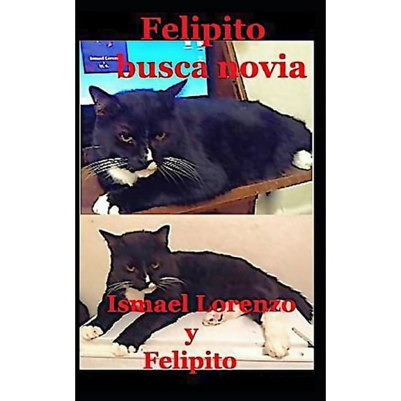 Felipito busca novia (Paperback)