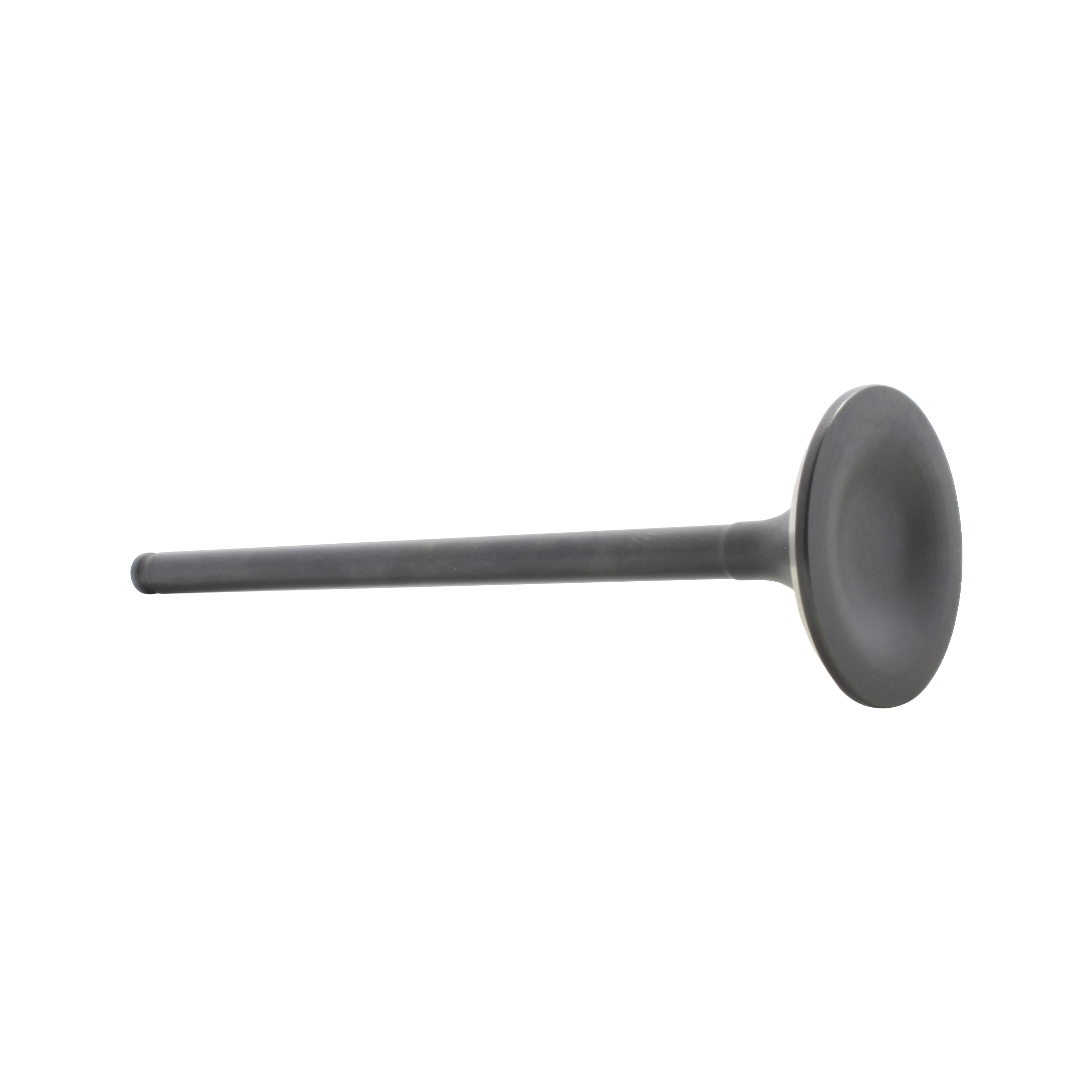 DNJ EV216 Exhaust Valve Fits Cars & Trucks 02-12 Acura Honda Accord Civic 2.0L-2.4L L4 DOHC 16v