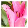 thumbnail image 2 of Bouquet oriental premium, 2 of 4