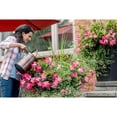 thumbnail image 5 of Miracle-Gro Water Soluble Bloom Booster Plant Food - 500g, 5 of 5