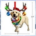 thumbnail image 7 of WaaHome Dog Christmas Ornaments 2024 Labrador Dog Ornaments for Christmas Tree Decorations Funny Dog Christmas Hanging Ornament Labrador Christmas Keepsake Gifts for Dog Lovers Pet Lovers Friend, 7 of 7