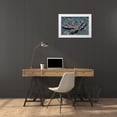 thumbnail image 3 of Shimlock, Jones 24x17 White Modern Wood Framed Museum Art Print Titled - Indonesia A wonderpus long-armed octopus, 3 of 4