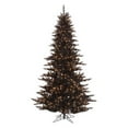 thumbnail image 1 of Vickerman Black Fir Pre-lit Christmas Tree, 1 of 1