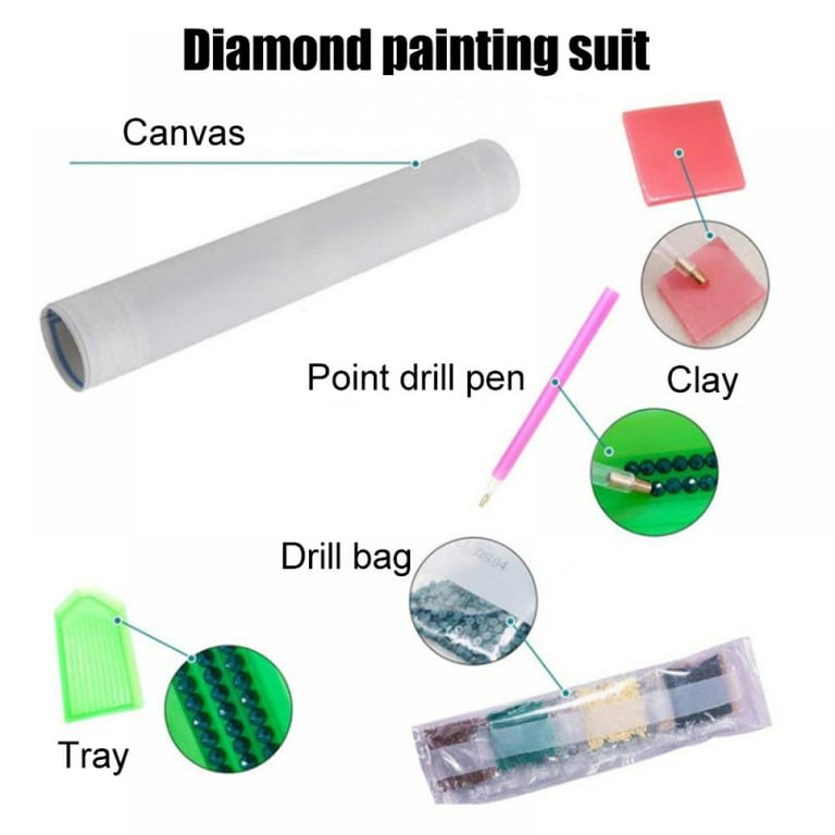 12 Pack Diamond Art Painting Kits for Adults,5D Full Drill Diamond Dots Paintings for Beginners,DIY Paint with Diamonds Gem Art Kits Accessories Kit