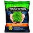 thumbnail image 2 of Pennington Premium Blend Bermuda Grass, 1 lb., 2 of 2