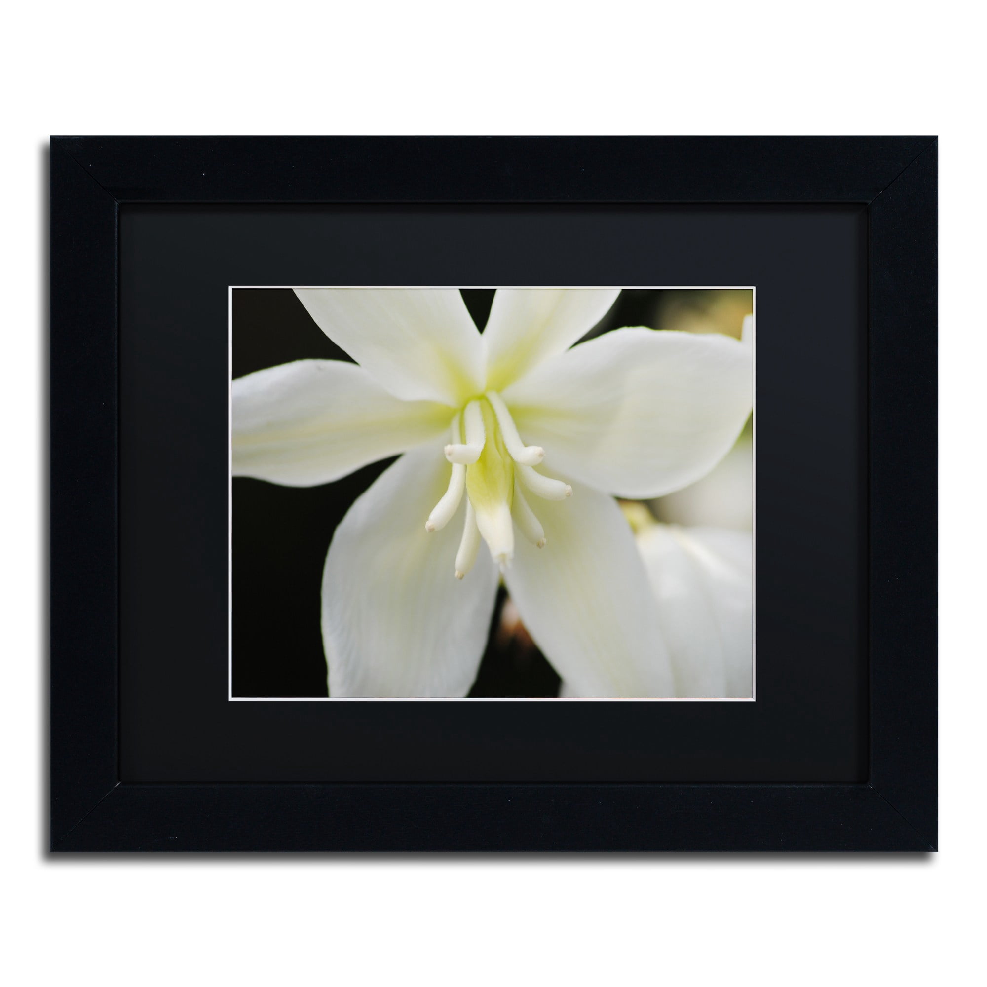 Trademark Fine Art Monica Mize 'Hope' 16 x 20 (MF149-B1620BMF)