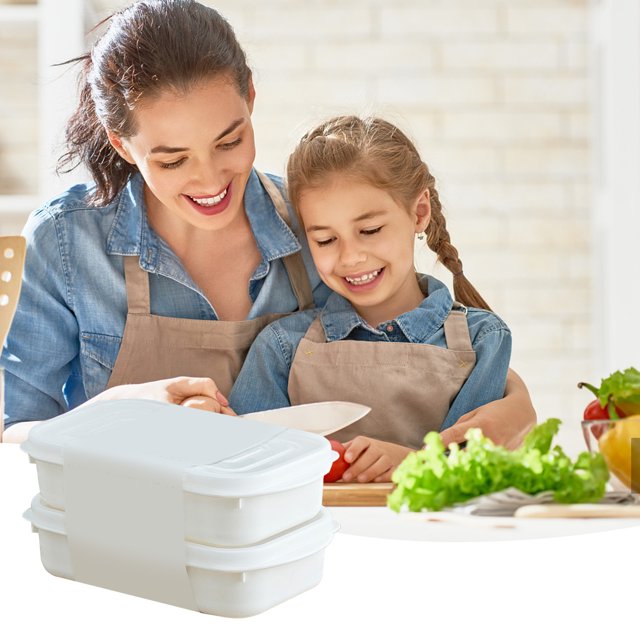 Dvkptbk Boîtes de Conservation des Aliments Boîtes de Rangement pour Réfrigérateur Plats Séparés de Qualité Alimentaire Viande et Riz Boîtes de Préparation de Repas Adaptées pour le Stockage des Aliments Pique-Niques en Plein Air
