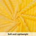 thumbnail image 2 of Ntbay Flannel Fuzzy Soft Warm Cozy Toddler Blanket, Fluffy Warm and Lightweight Reversible Stripes Design Toddler Plush Blanket for Stroller, Crib, Travel, 30" x 40", Yellow, 2 of 6