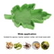 thumbnail image 3 of Bandeja Para Beber Para Mascotas, Alimentador De Agua Para Reptiles Inodoro, Seguro Y Duradero Con Forma De Hoja De Arce Para Interiores, 3 of 7