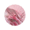 thumbnail image 2 of Bewildely Paraguas de tela de seda Estilo chino tradicional Papel de aceite Parasol de baile femenino Traje de actuación Accesorios de fotografía Mujeres Paraguas de lluvia Tipo 6 Bewildely HA073075-14, 2 of 6