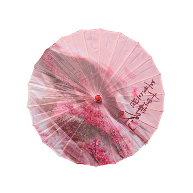 Yuarrent Paraguas de tela de seda, estilo chino tradicional, papel al óleo, danza clásica femenina, sombrilla decorativa, disfraz, accesorios de Paraguas de lluvia Tipo 6 Yuarrent HA073075-14