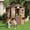 Brown, variant on Roromall Kids Play House, Wooden Play House, Cedar Wooden Outdoor Cottage, Playhouse Vinyl Roof with Play Kitchen