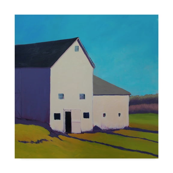 Trademark Fine Art 'Purple Shade' Canvas Art by Carol Young