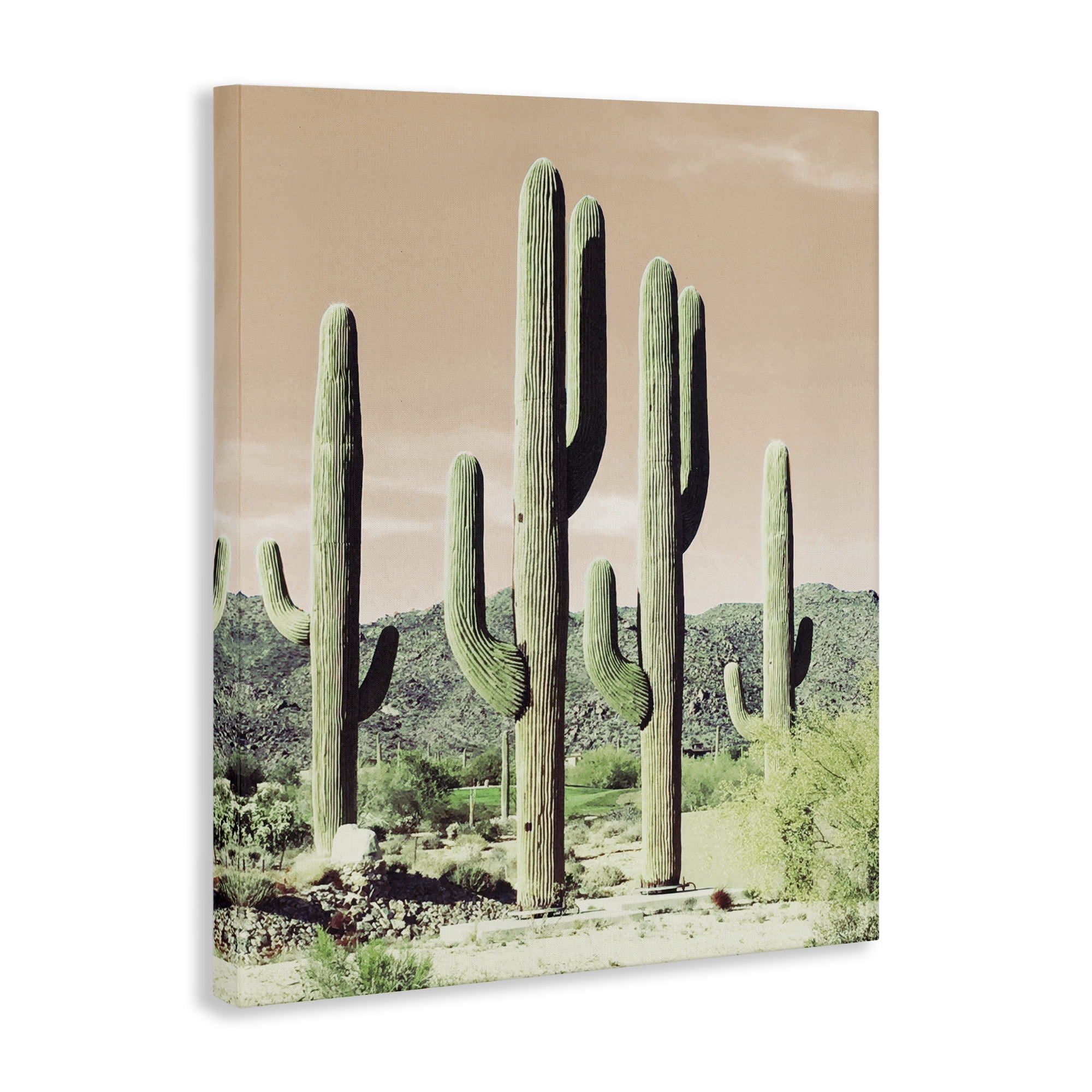 Stupell Industries Sunrise Cactus Scene Landscape & Nature Photography Wrapped Canvas Art Print Wall Art, 36 x 48