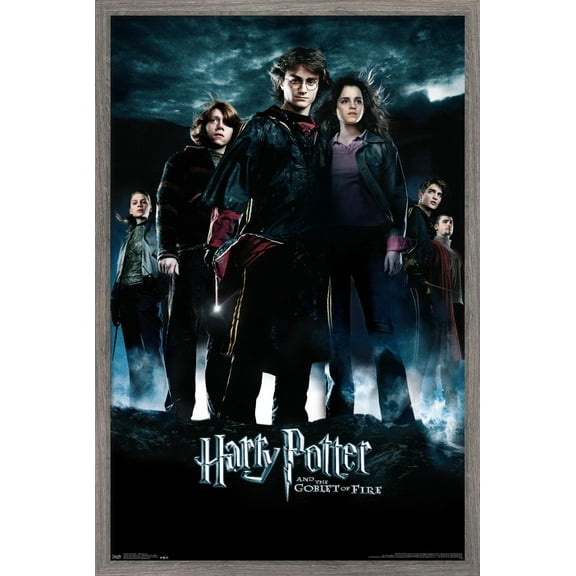 Harry Potter and the Goblet of Fire - Group One Sheet Wall Poster, 14.725" x 22.375", Framed