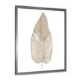 thumbnail image 2 of Designart 'Dried Leaf Plant Beige On White Background' Traditional Framed Art Print, 2 of 4