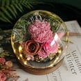 thumbnail image 2 of Desktop Dress Up, Ongmies Preserved Real Flowers for Her Women Wife Mom Forever Fresh Roses in Glass Dome with Led Lights for Home Decor for Valentines Mothers Day Christmas Wedding, Hot Pink, 2 of 9