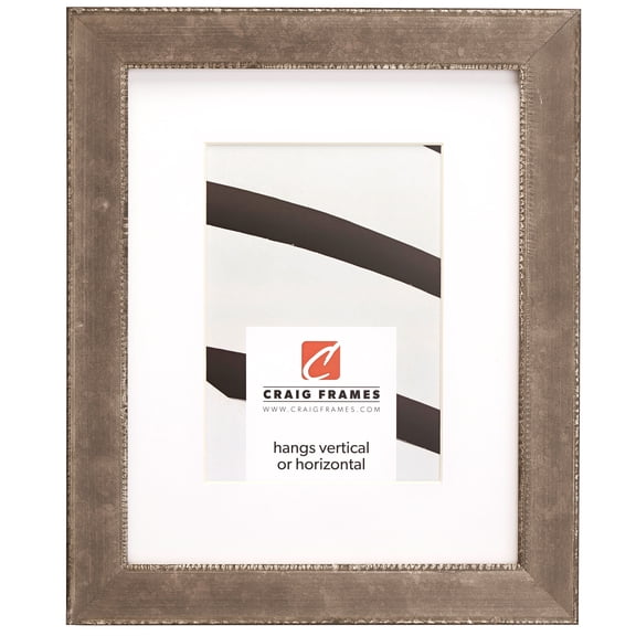 Craig Frames Patina 125, 20x26 inch Silver and Black Picture Frame Matted for a 16x22 Photo