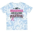 thumbnail image 3 of Inktastic My Grandma is a Survivor Breast Cancer Awareness Boys or Girls Toddler T-Shirt, 3 of 5