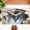 #1, variant on Optical Illusion Doormat, 3D Entryway Mat Optical Illusion for Bedroom, Living Room, Porch, Terrace and Entrance Decor