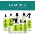 thumbnail image 5 of Caldrea Dish Soap, Ginger Pomelo, 16 Oz, 5 of 28