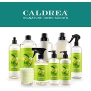 Caldrea Dish Soap, Ginger Pomelo, 16 Oz