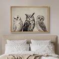 thumbnail image 3 of PixonSign Framed Canvas Print Wall Art Duotone Owl Portraits Vintage Antique Farmhouse Decor Nature Animals Modern Art Realism Cozy Decorative Colorful Multicolor - 16"x24" Natural, 3 of 5