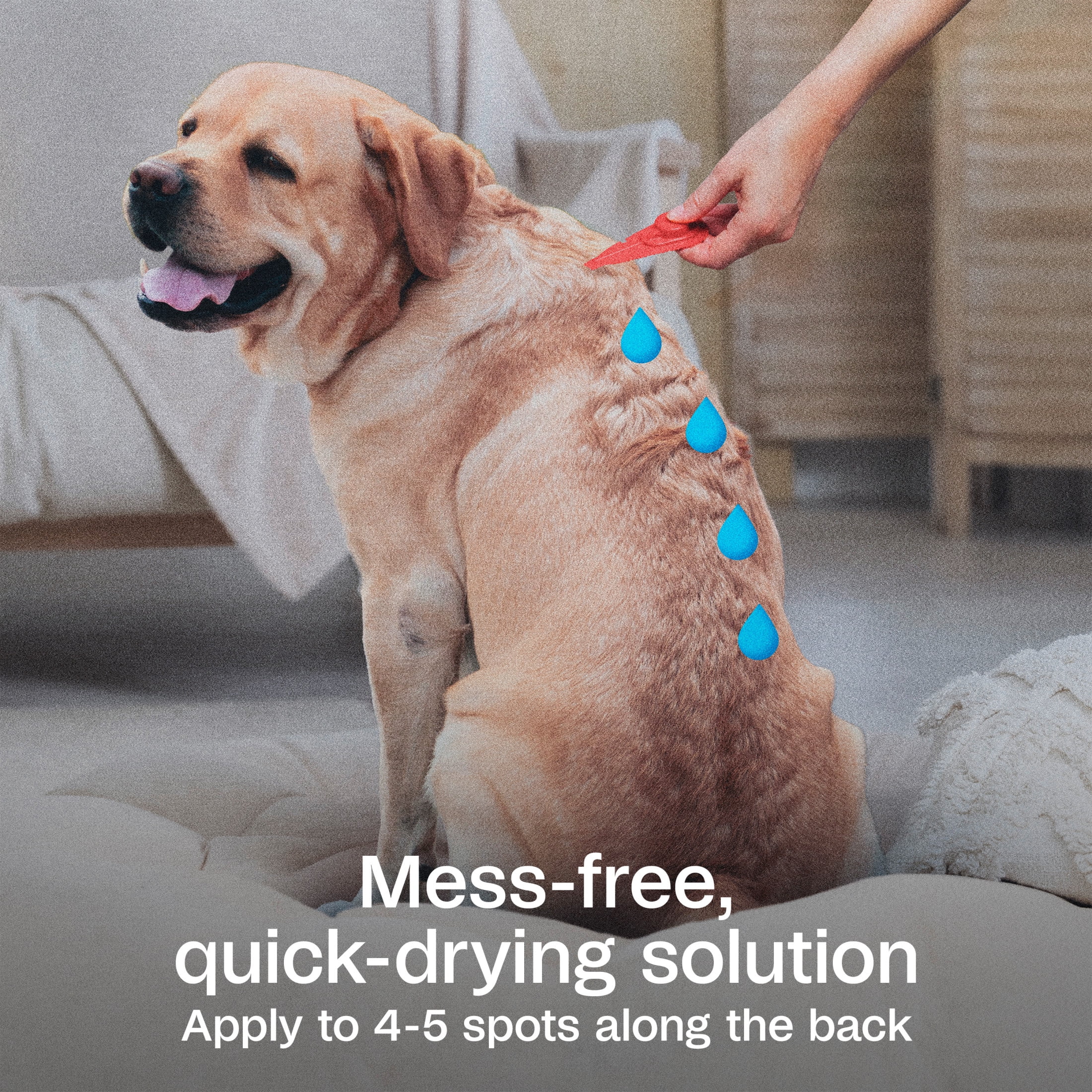 (3 pack) ADAMS Plus Flea & Tick Prevention Spot On for Dogs, Extra Large Dogs, Kills Fleas & Ticks (Brown Dog/Deer Ticks), Kills and Repels Mosquitoes, Prevents Flea Infestations, 3-Month Supply, 3 pack