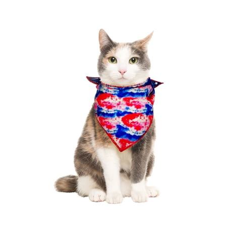 Vibrant Life 4th of July Reversible Pet Bandana, Fireworks/Tie-Dye, Medium/Large
