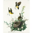 thumbnail image 2 of Audubon, John James 26x31 White Modern Wood Framed Museum Art Print Titled - Yellow-breasted Chat, 2 of 4