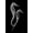 Unframed, variant on Art.com Sea Horse Xray Art Print by Albert Koetsier, 12" x 18"