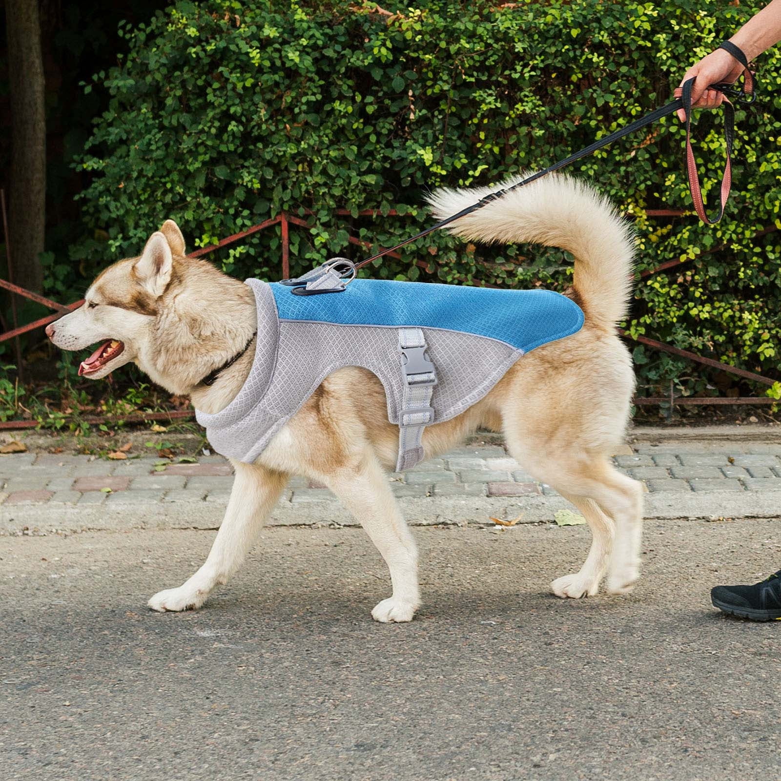 Chest Strap for Dogs | Breathable Summer Vest Harness with Adjustable Fit for Small Medium and Large Dogs