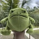 thumbnail image 3 of Nuevo juguete de peluche de rana de lluvia Ricky de 20 cm, muñeco de rana de dibujos animados, regalo para niños, 3 of 4