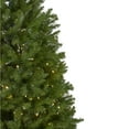 thumbnail image 3 of 6.5' Pre-Lit Northern Pine Full Artificial Christmas Tree - Warm Clear LED Lights, 3 of 7