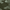 Olive Camo, variant on George Men's Cargo Pants, 32" Inseam, Sizes 30-46