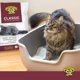 thumbnail image 5 of Arena para gatos Dr. Elsey's Precious Cat Classic Clumping 18,14 kg, 5 of 8