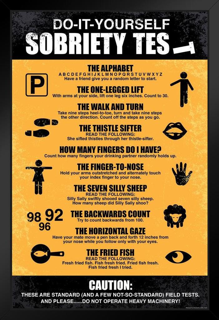 Do It Yourself Sobriety Test Drinking Funny Art Print Stand or Hang