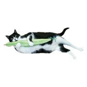 Imperial Cat Plush Refillable Catnip Cat Toy with Organic Catnip, Green