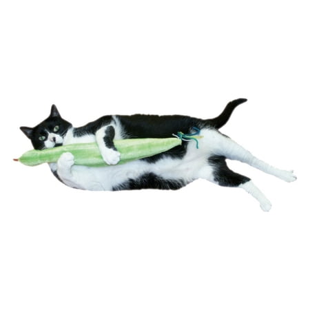 Imperial Cat Plush Refillable Catnip Cat Toy with Organic Catnip, Green