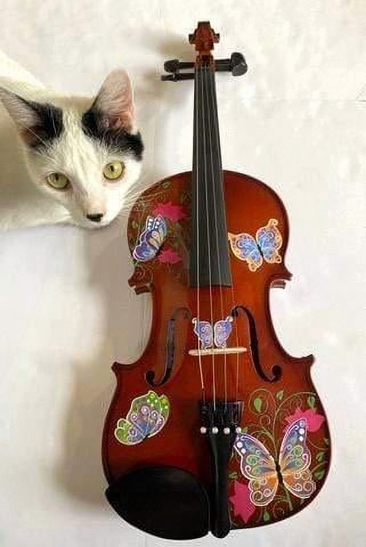 Rozanna's Butterfly Dream Viola 15" Outfit with Crystal Fine Tuners