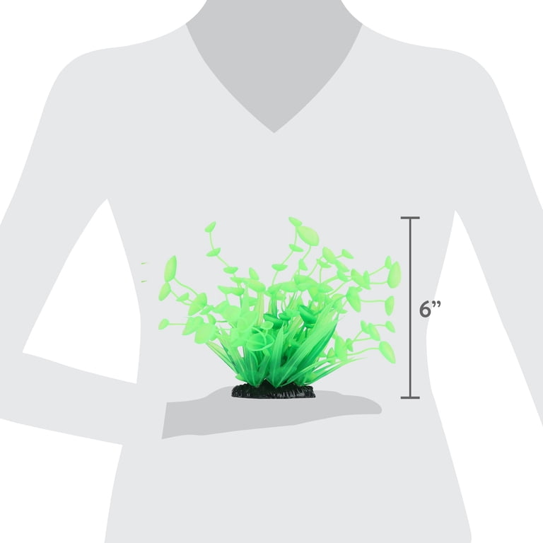 Vibrant Life Small Plant Set, Green, 3 Pieces photo 5