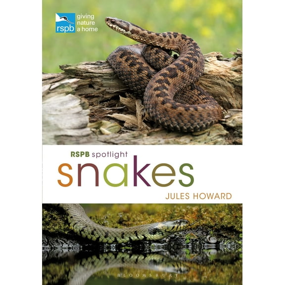 Rspb: Rspb Spotlight Snakes (Paperback)