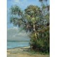 thumbnail image 2 of Bansemer, Roger 19x24 Gold Ornate Wood Framed with Double Matting Museum Art Print Titled - Washington Oaks, 2 of 4