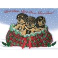 thumbnail image 1 of Pipsqueak Productions C491 Rottweiler Chiots Cartes de Noël en Boîte - Lot de 10, 1 of 1