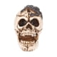 thumbnail image 1 of 1 adorno de cabeza de calavera para regalos de Halloween., 1 of 3