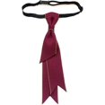 thumbnail image 2 of LinYooLi Nœud Papillon de Mariage pour Hommes et Femmes, Classique, Ajustable, pour Fête, Tissu Ruban, Pré-Noué, 2 of 3